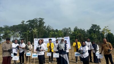 Dari Pakaian, Buku, hingga 29.000 Pohon: PNM Perluas Makna Pemberdayaan di Masyarakat Akar Rumput