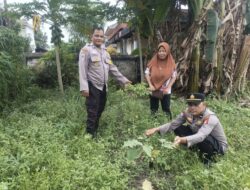 Tinjau Kebun Warga di Jalan Dwikora, Bhabinkamtibmas Polsek Limapuluh Dukung Ketahanan Pangan