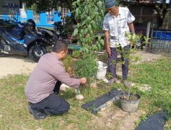 Optimalisasi Lahan Produktif, Aiptu Slamet Sugiyanto Sambangi Kebun Warga di Kecamatan Sail