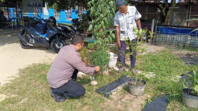 Optimalisasi Lahan Produktif, Aiptu Slamet Sugiyanto Sambangi Kebun Warga di Kecamatan Sail