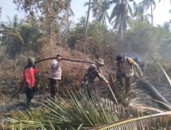 Kolaborasi di Tengah Kobaran Api, Kodam XIX/Tuanku Tambusai Bersama Unsur Gabungan Tangani Karhutla Secara Terpadu di Bengkalis