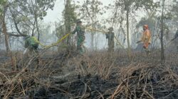 Hadapi Cuaca Panas Ekstrem, Kodam XIX/Tuanku Tambusai Perkuat Operasi Pemadaman Karhutla di Kampar