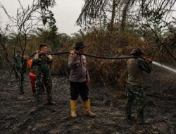 Karhutla Bakar 2 Hektare Lahan, Kodam XIX Tuanku Tambusai Perkuat Pemadaman