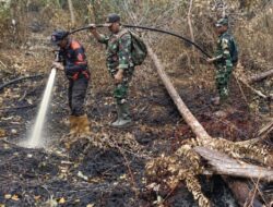 Personel Kodam XIX/Tuanku Tambusai Bertahan di Medan Gambut, Pendinginan Karhutla Berlanjut di Bengkalis dan Meranti