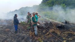 TNI Bersama Masyarakat Berjibaku Jinakkan Karhutla di Keritang, Titik Api Berhasil Dipadamkan