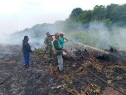 TNI Bersama Masyarakat Berjibaku Jinakkan Karhutla di Keritang, Titik Api Berhasil Dipadamkan