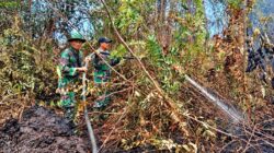 Tim Gabungan Berpacu dengan Cuaca Panas, Pendinginan Karhutla di Kuala Cenaku Berlanjut Hari Ini