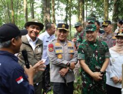 Pangdam XIX/Tuanku Tambusai Dampingi Menteri Kehutanan Tinjau Restorasi Gambut dan Pencegahan Karhutla di Bengkalis