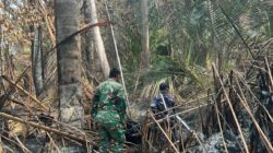 Kodam XIX/Tuanku Tambusai Percepat Pendinginan Karhutla di Inhil dan Lingga, Lahan Terbakar Berhasil Dikendalikan