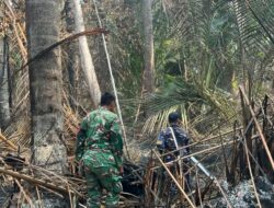 Kodam XIX/Tuanku Tambusai Percepat Pendinginan Karhutla di Inhil dan Lingga, Lahan Terbakar Berhasil Dikendalikan