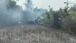 Kodam XIX/Tuanku Tambusai Perkuat Penanganan Karhutla, Tiga Hektare Lahan Berhasil Diamankan