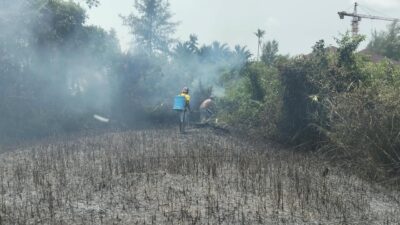 Kodam XIX/Tuanku Tambusai Perkuat Penanganan Karhutla, Tiga Hektare Lahan Berhasil Diamankan