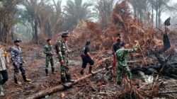 Kodam XIX/Tuanku Tambusai Pastikan Karhutla di Lingga Terkendali, Pendinginan Selesai Dilaksanakan