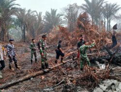 Kodam XIX/Tuanku Tambusai Pastikan Karhutla di Lingga Terkendali, Pendinginan Selesai Dilaksanakan