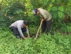 Wujud Kepedulian Lingkungan, Polsek Limapuluh Gelar Penanaman Bibit Pohon di Pesisir