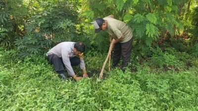 Wujud Kepedulian Lingkungan, Polsek Limapuluh Gelar Penanaman Bibit Pohon di Pesisir