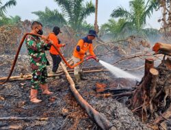Tim Gabungan Tuntaskan Pemadaman Karhutla, Titik Api di Hulu Kuantan Padam Total