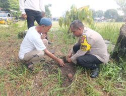 Polsek Limapuluh Tanam Bibit Pohon di Lapangan Sukoharjo, Sukseskan Program Green Policing Kapolda Riau