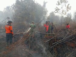 TNI dan Tim Gabungan Berjibaku Padamkan Karhutla di Desa Tasik Serai