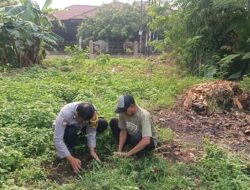 Kejar Target 1 Juta Pohon Kapolda Riau, Polsek Limapuluh Hijaukan Jalan