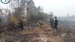 Kodam XIX/Tuanku Tambusai Cek Titik Hotspot Karhutla di Inhil, 3 Hektare Lahan Terbakar