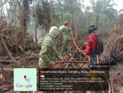 Kodam XIX Tuanku Tambusai Bersama Tim Gabungan Cegah Karhutla Meluas di Inhu