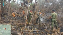 TNI dan Tim Gabungan Berjibaku Padamkan Karhutla di Indragiri Hulu