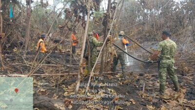 TNI dan Tim Gabungan Berjibaku Padamkan Karhutla di Indragiri Hulu