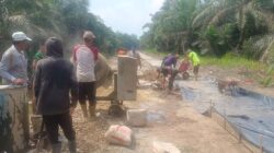 Pantang Menyerah! Satgas TMMD ke-130 Kodim 0314/Inhil Kebut Semenisasi Jalan, 810 Meter Tuntas Dikerjakan