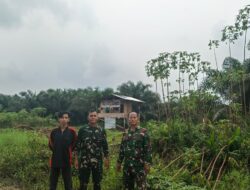 Kodam XIX/Tuanku Tambusai Pastikan Patroli Karhutla di Pelalawan Berjalan Aman